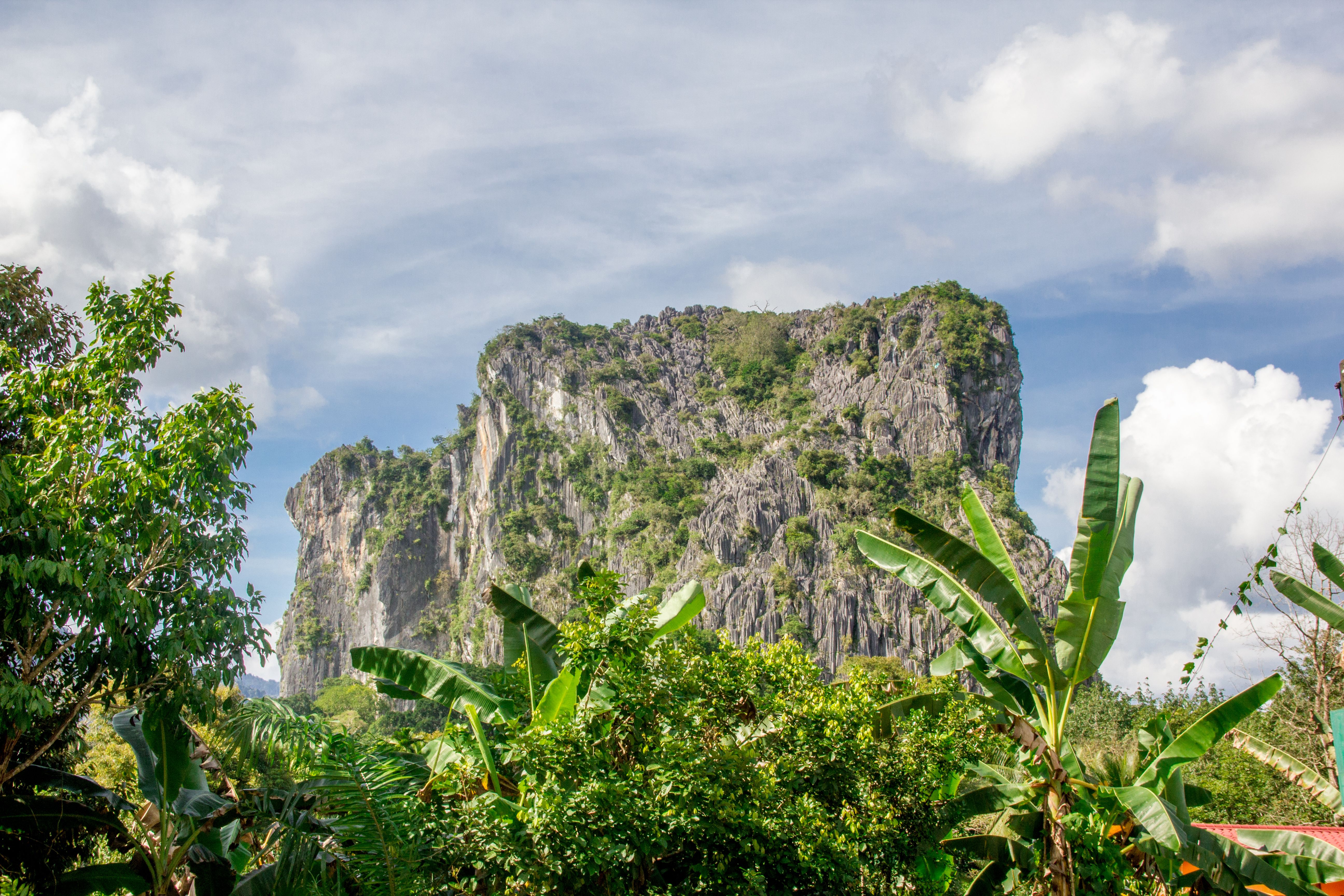 Limestone cliff surrounded by lush jungle in Malaysia, ideal for nature and adventure photography.