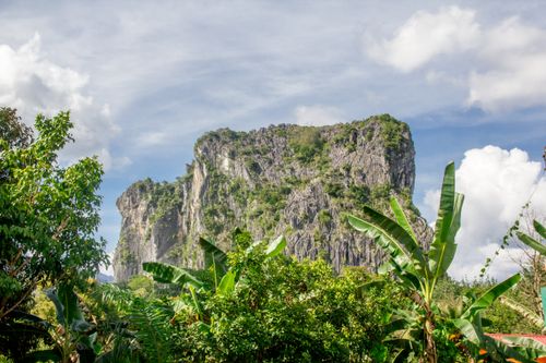 Free Limestone cliff surrounded by lush jungle in Malaysia, ideal for nature and adventure photography. Stock Photo