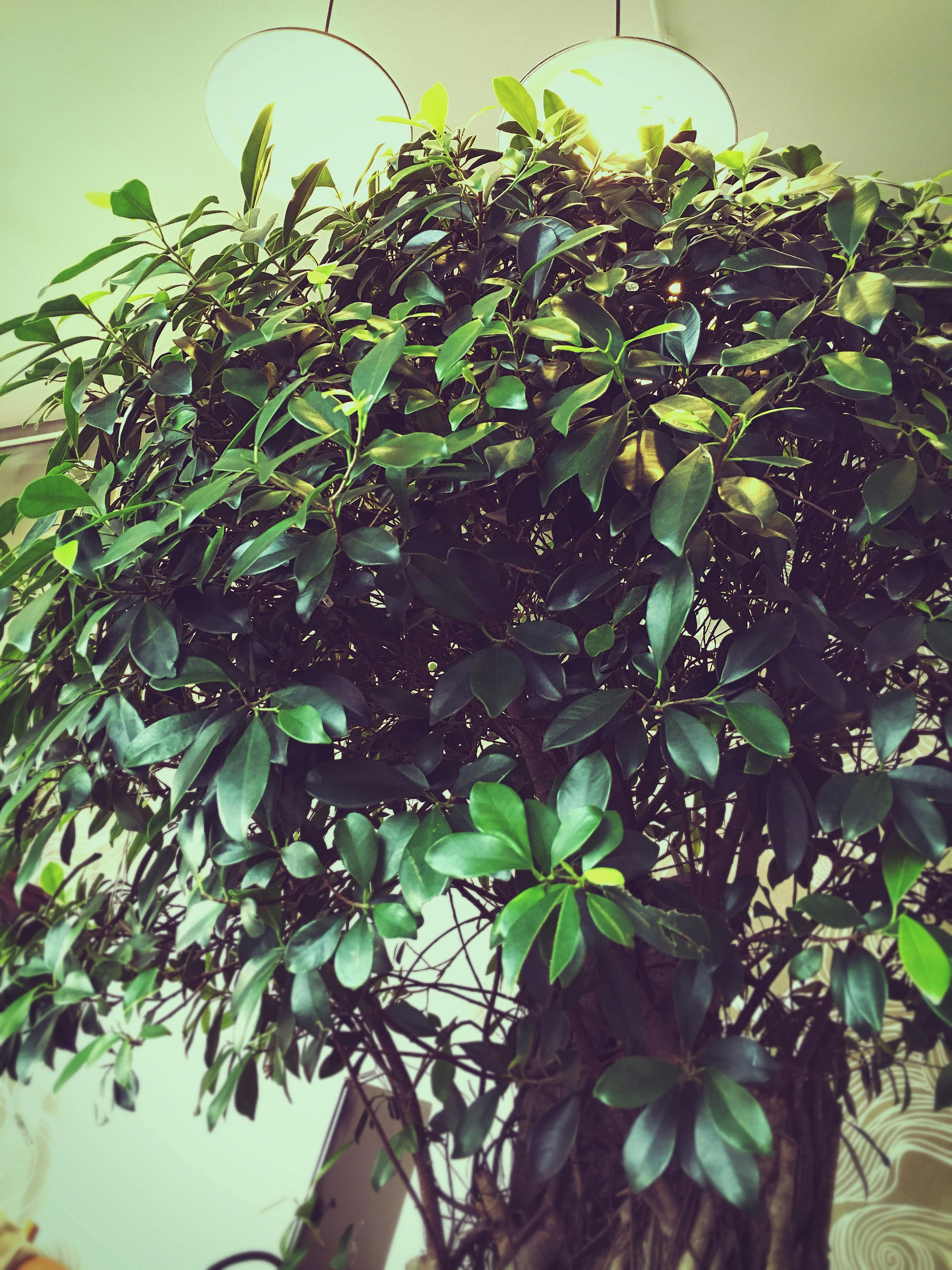 Image of a couple enjoying their stay at a short-term rental property