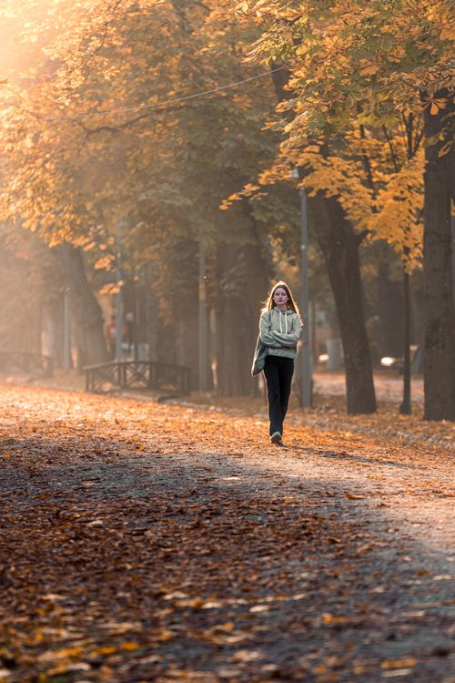 Free Woman walking through a sunlit park during a beautiful autumn day. Perfect for fall-themed imagery. Stock Photo