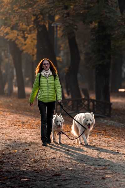 A woman walking two dogs through a park in autumn — photo by Filip Marcus Adam on Pexels