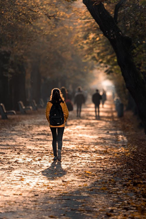 People Walking in the Park