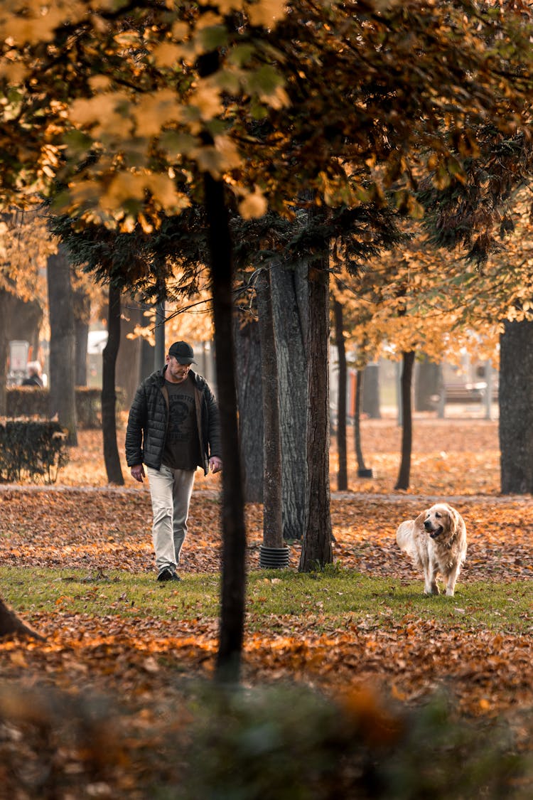 Man Walking With A Dog In A Park