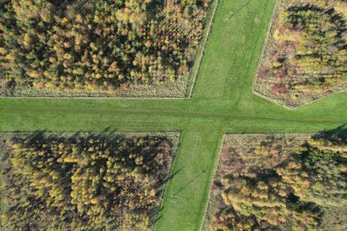 Bird's-eye View of Grass Fields and Trees