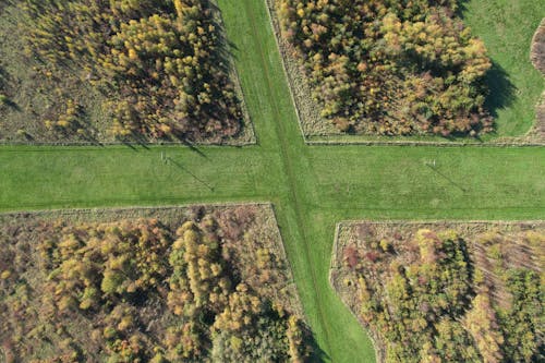 Aerial View of Green Grass Field and Trees