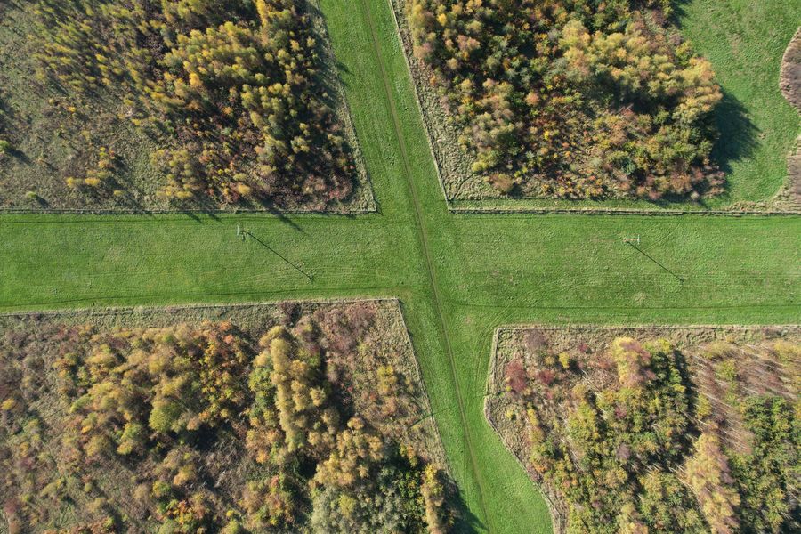 Drone shot capturing the intersection of forest and agricultural fields in England during fall.