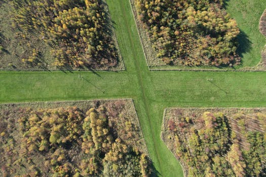 Drone shot capturing the intersection of forest and agricultural fields in England during fall.