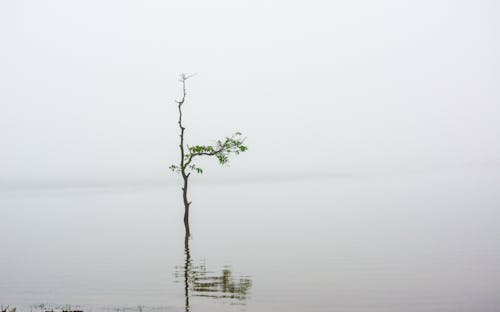 Základová fotografie zdarma na téma dovolená, dovolená u jezera, exotický