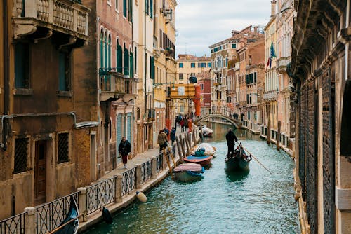 People Walking Beside the River