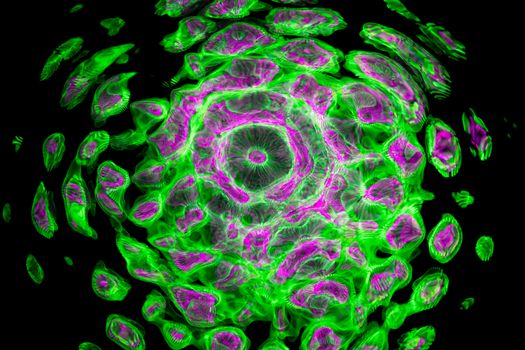 Dynamic abstract pattern in striking green and purple hues creating a complex visual illusion.