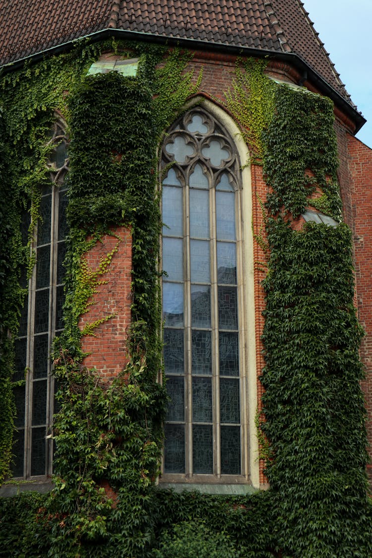 Old Brick Building With Hanging Plants On Wall