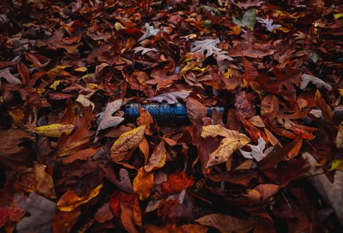 Free A blue glass bottle partially hidden among dried autumn leaves, showcasing the vibrant fall colors. Stock Photo