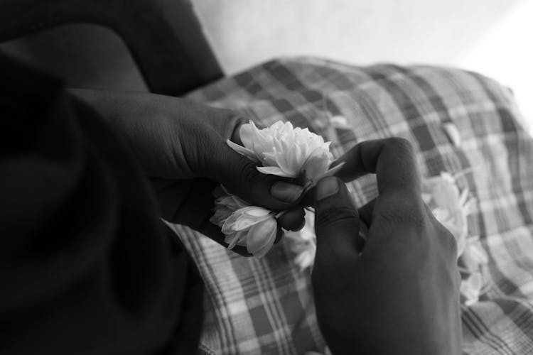 Close Up Of Woman Hands Holding Flower Head