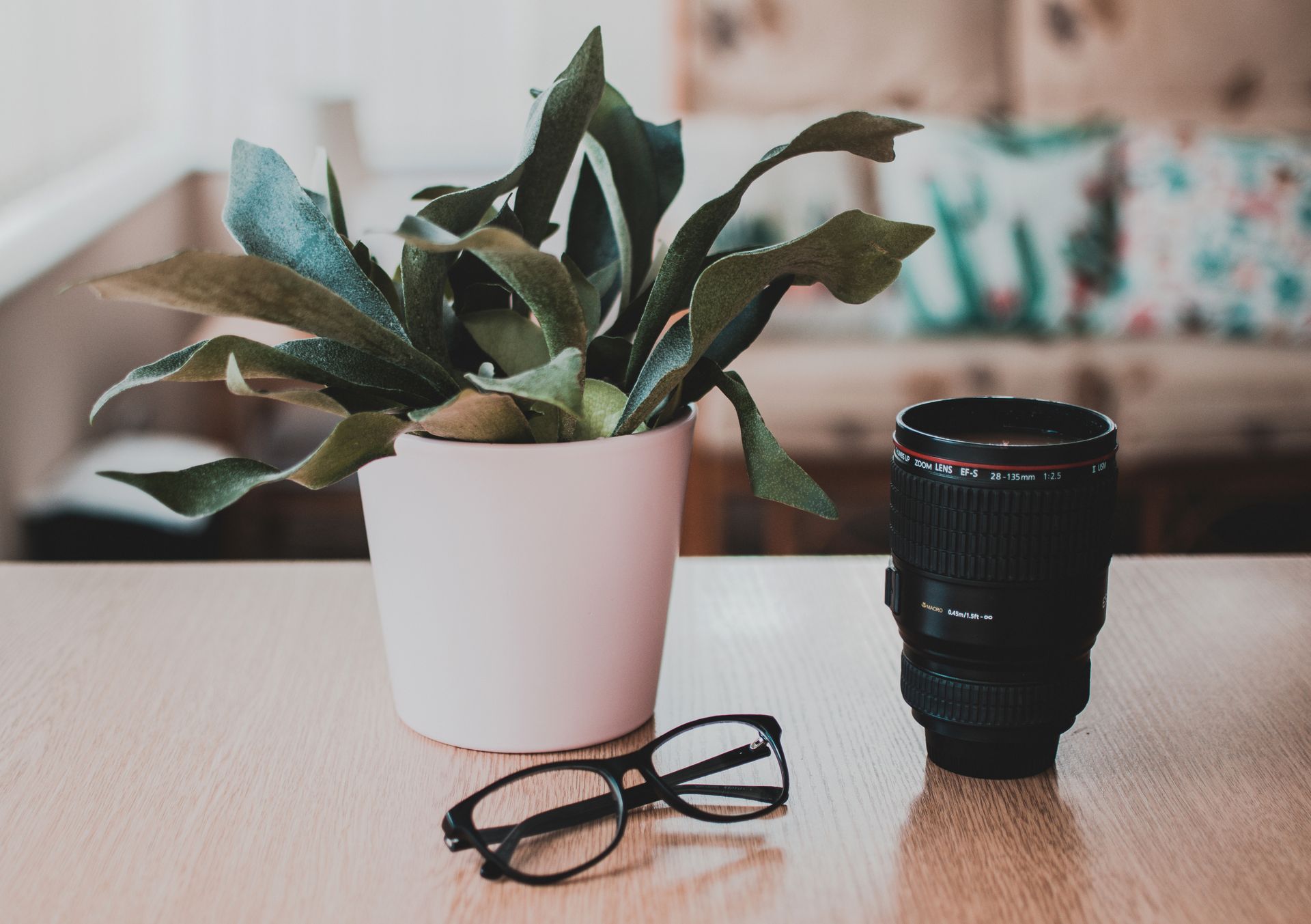 A modern indoor scene featuring eyeglasses, a camera lens, and a potted plant on a wooden table.