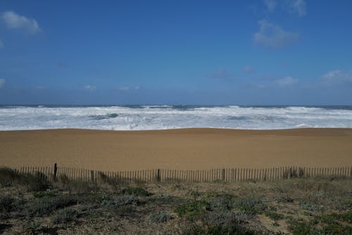 Foto profissional grátis de beira-mar, céu azul, férias