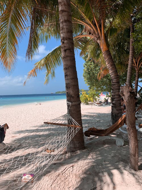 Hammock on Coconut Tree