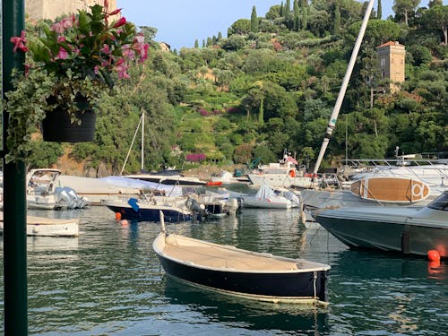 無料 イタリア, ボート, ポルトフィーノの無料の写真素材 写真素材