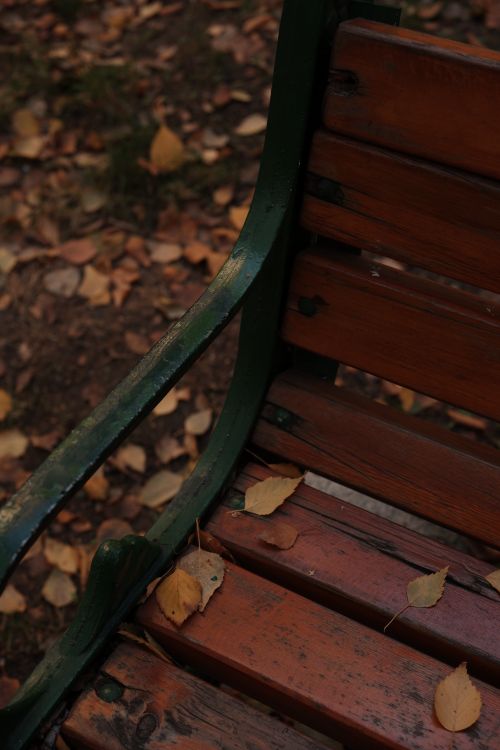 Free Close-up of a wooden park bench with dried autumn leaves, capturing a rustic feel. Stock Photo