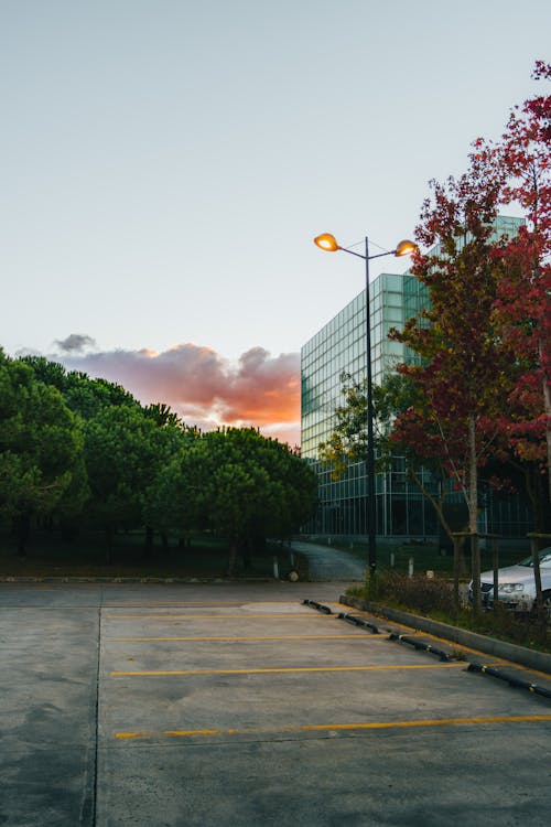 A Glass Building in Between the Green and Red Trees 