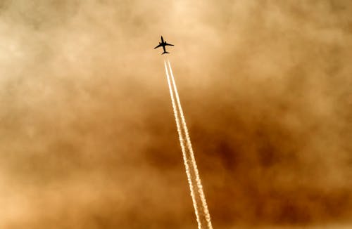 Kostnadsfria Kostnadsfri bild av bakgrundsbelyst, flyg, flygande Stock foto