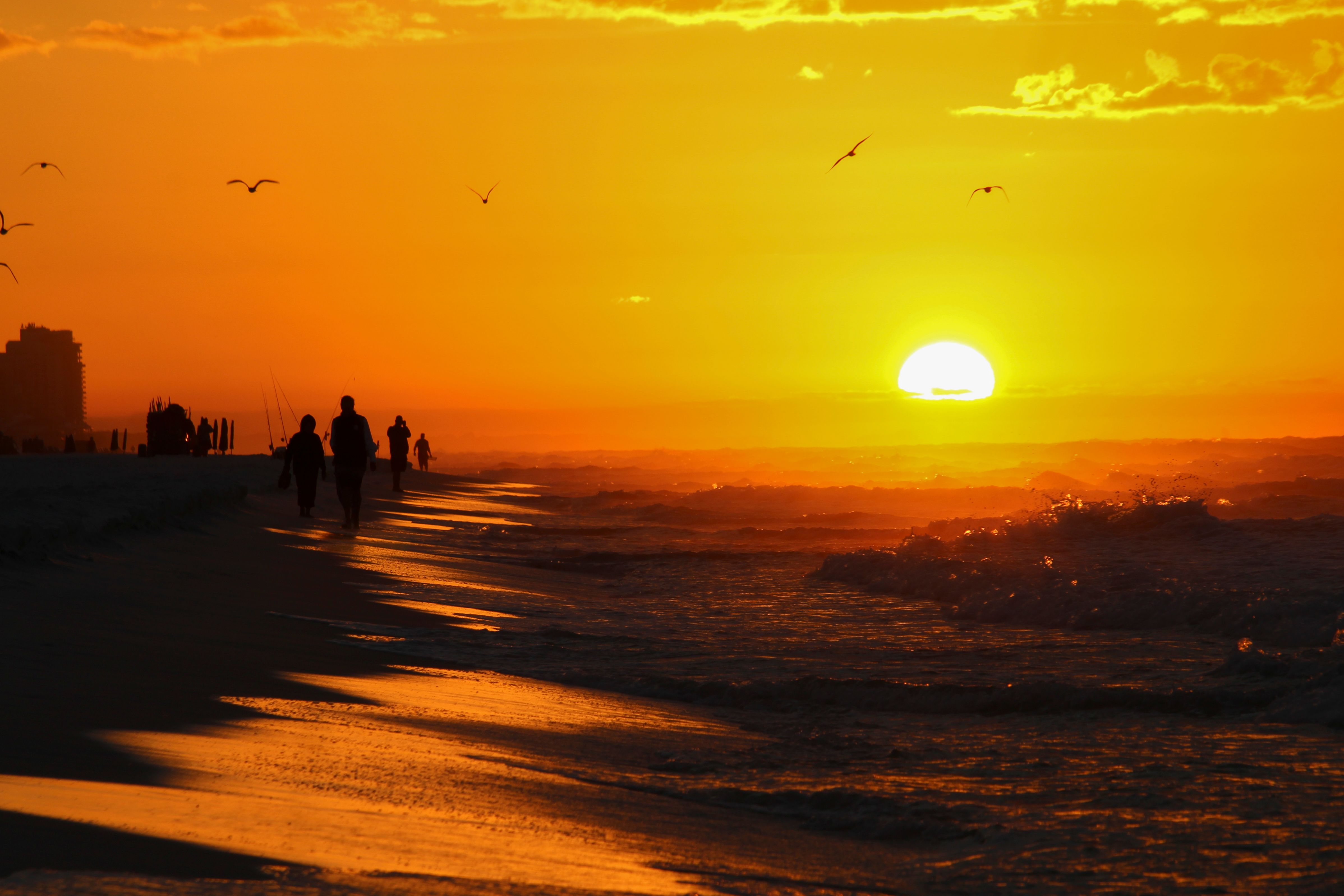 Silhouette of People Walking on the Beach during Sunset · Free Stock Photo