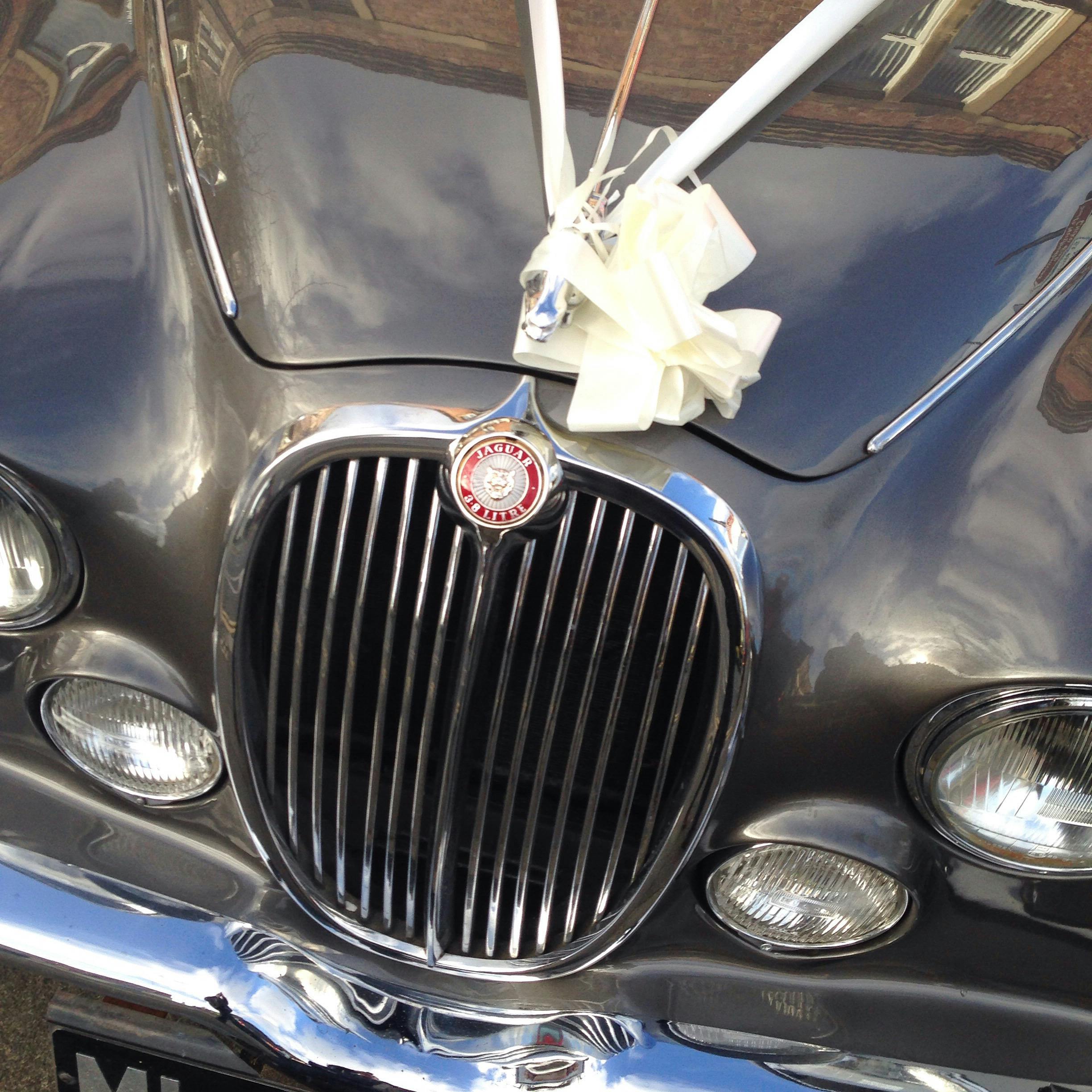 Free stock photo of jaguar, old car, wedding