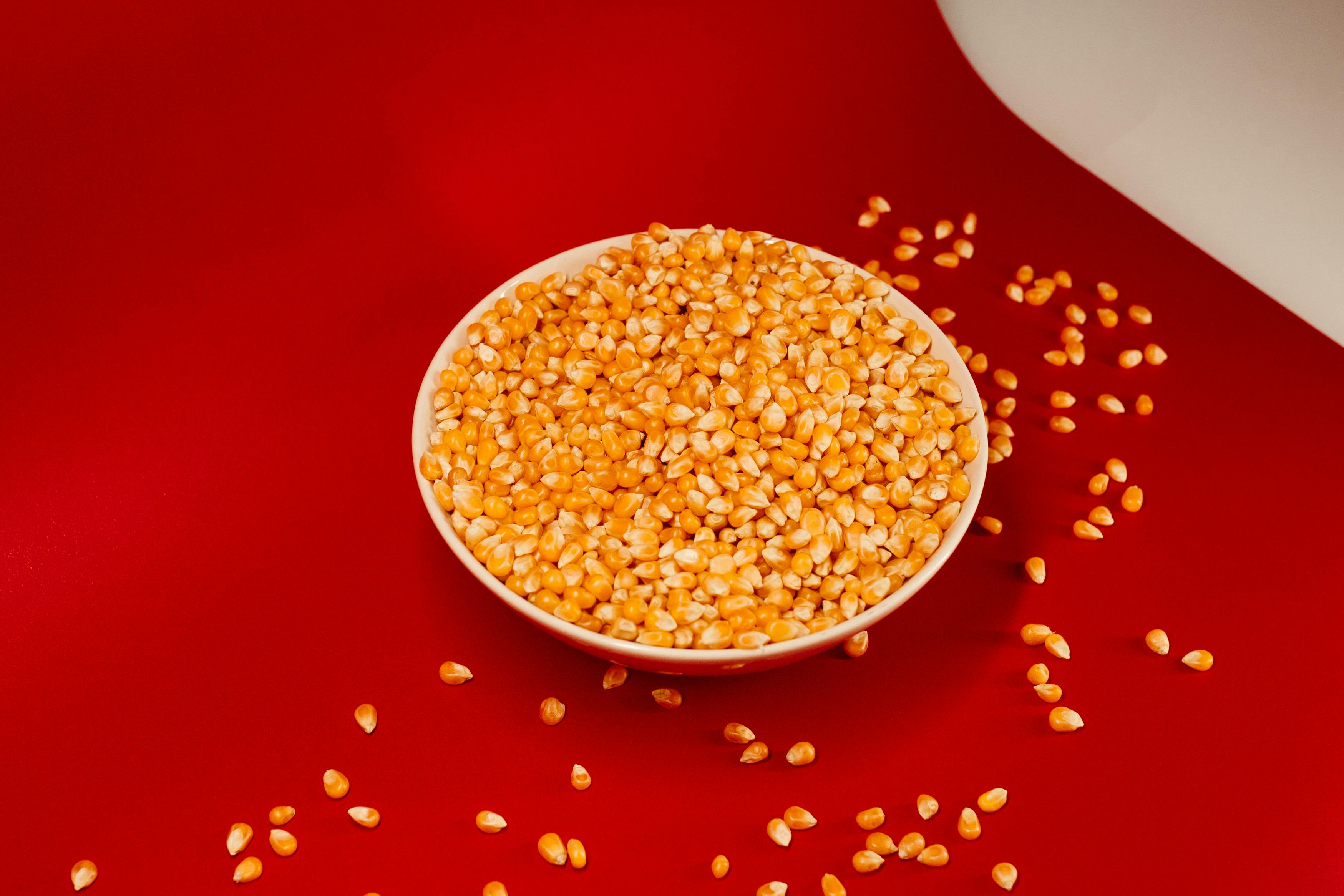 grátis Foto profissional grátis de à base de plantas, agricultura, alegre Foto profissional