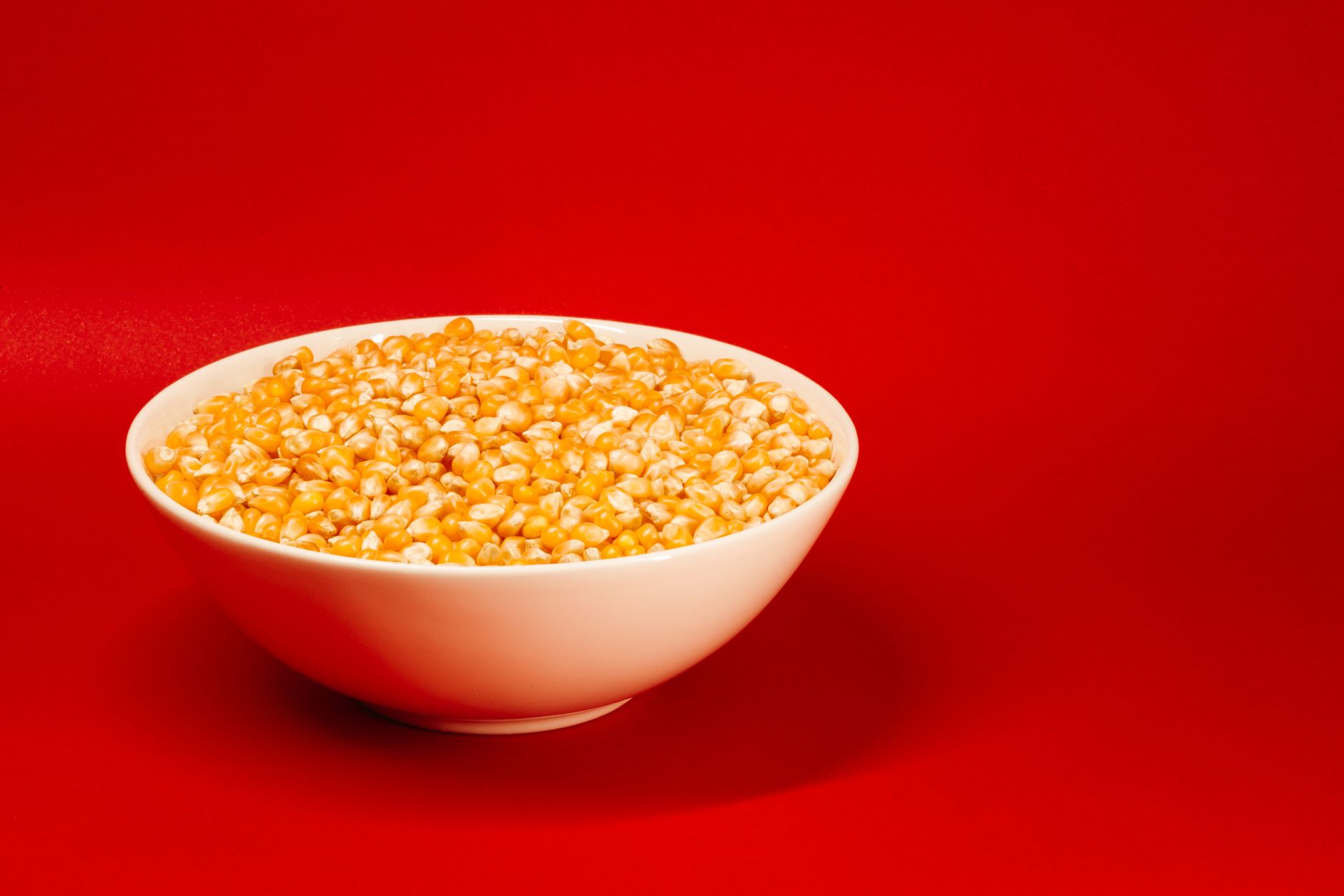 Close-up of uncooked corn kernels in a white bowl on a vibrant red background, showcasing contrast.