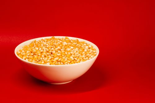 Sweet Corn (Jagung Pipil Manis)