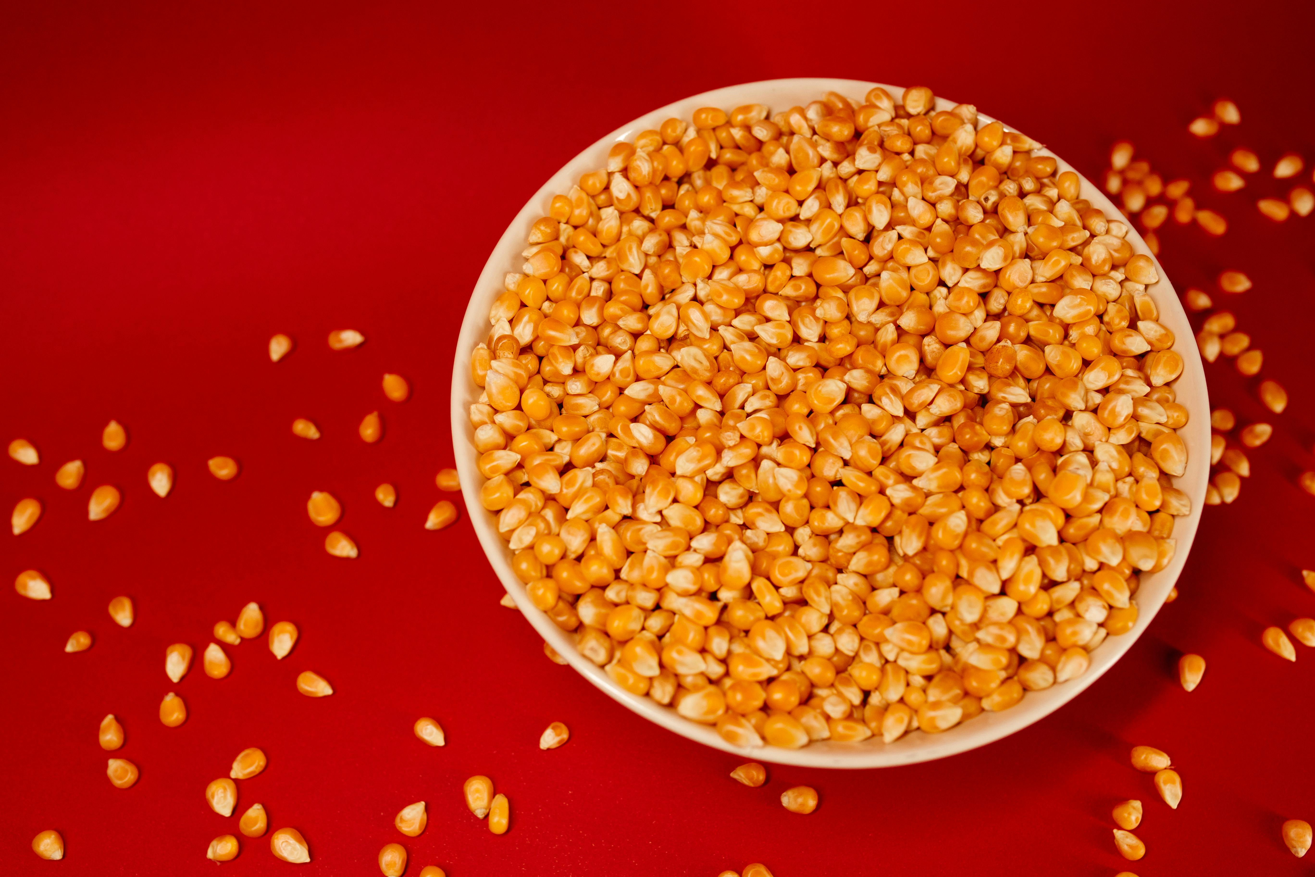 grátis Foto profissional grátis de agricultura, alegre, alimento Foto profissional