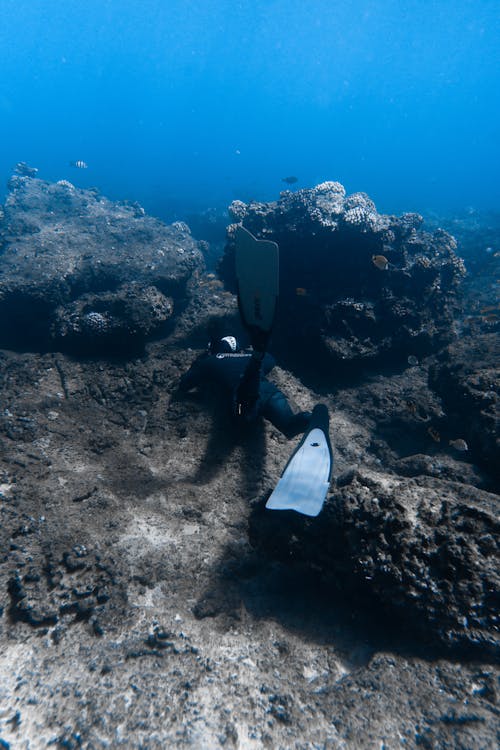 Scuba Diver Swimming Underwater