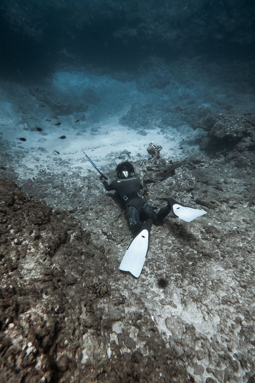 Spearfisher working a reef edge where every dropped fish changes the risk equation