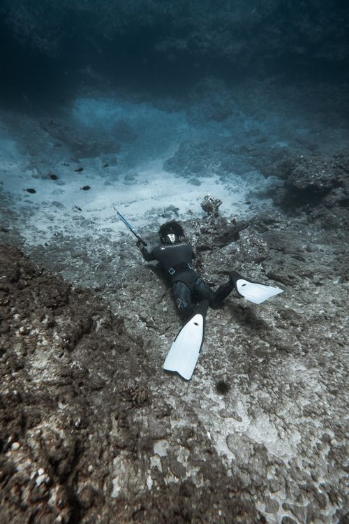 Free Diver in wetsuit with spear gun explores rocky underwater landscape. Stock Photo