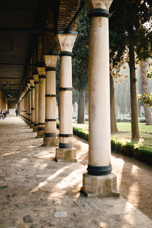 Columns near Trees in Park