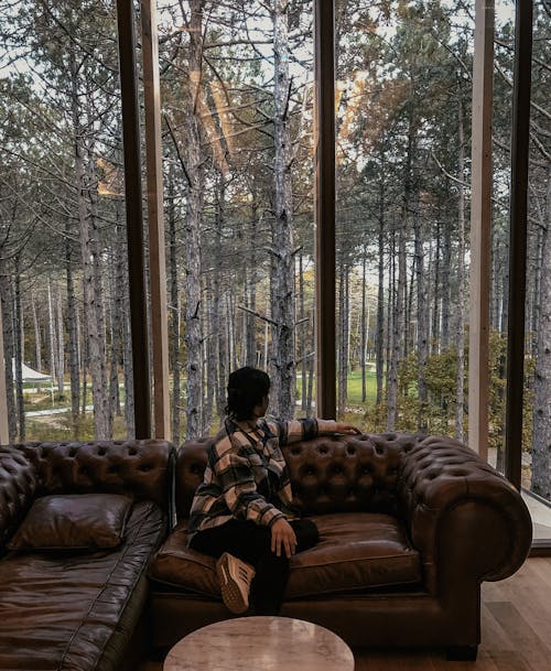 Gratis stockfoto met binnenshuis interieur, bomen, Bos