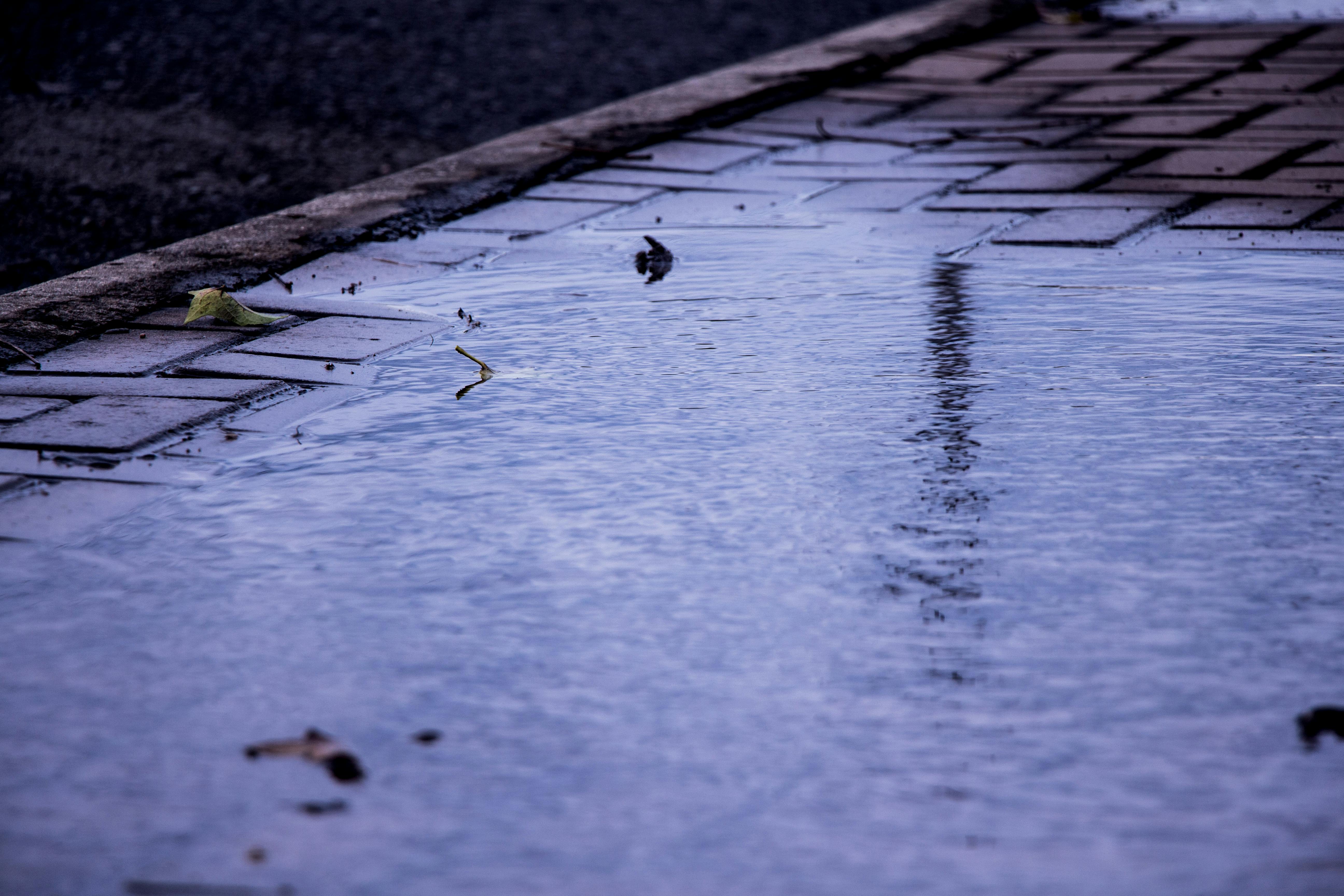 Free stock photo of after the rain, reflex, sad