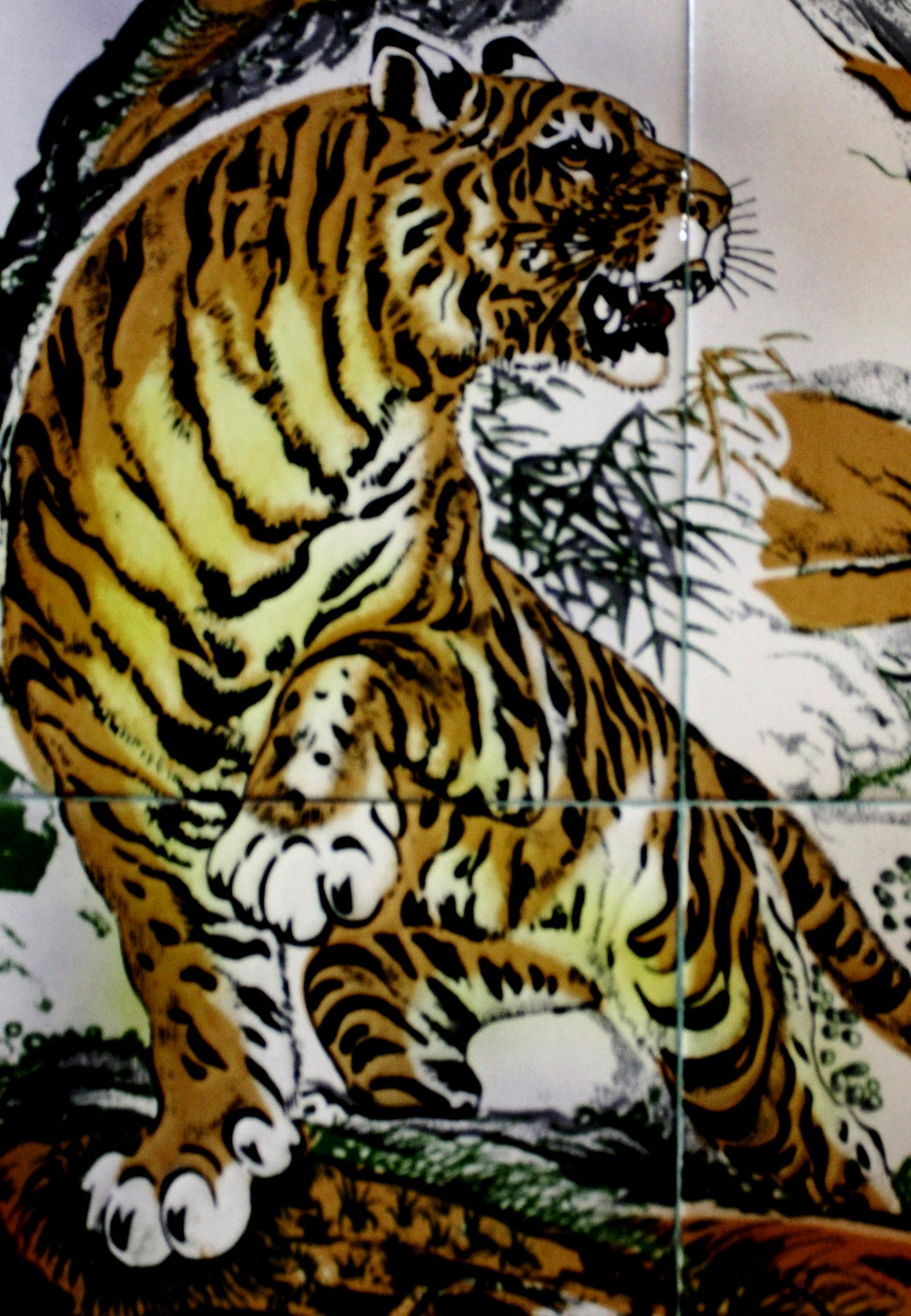 Download Gambar  Harimau Macan  Downloadjpg