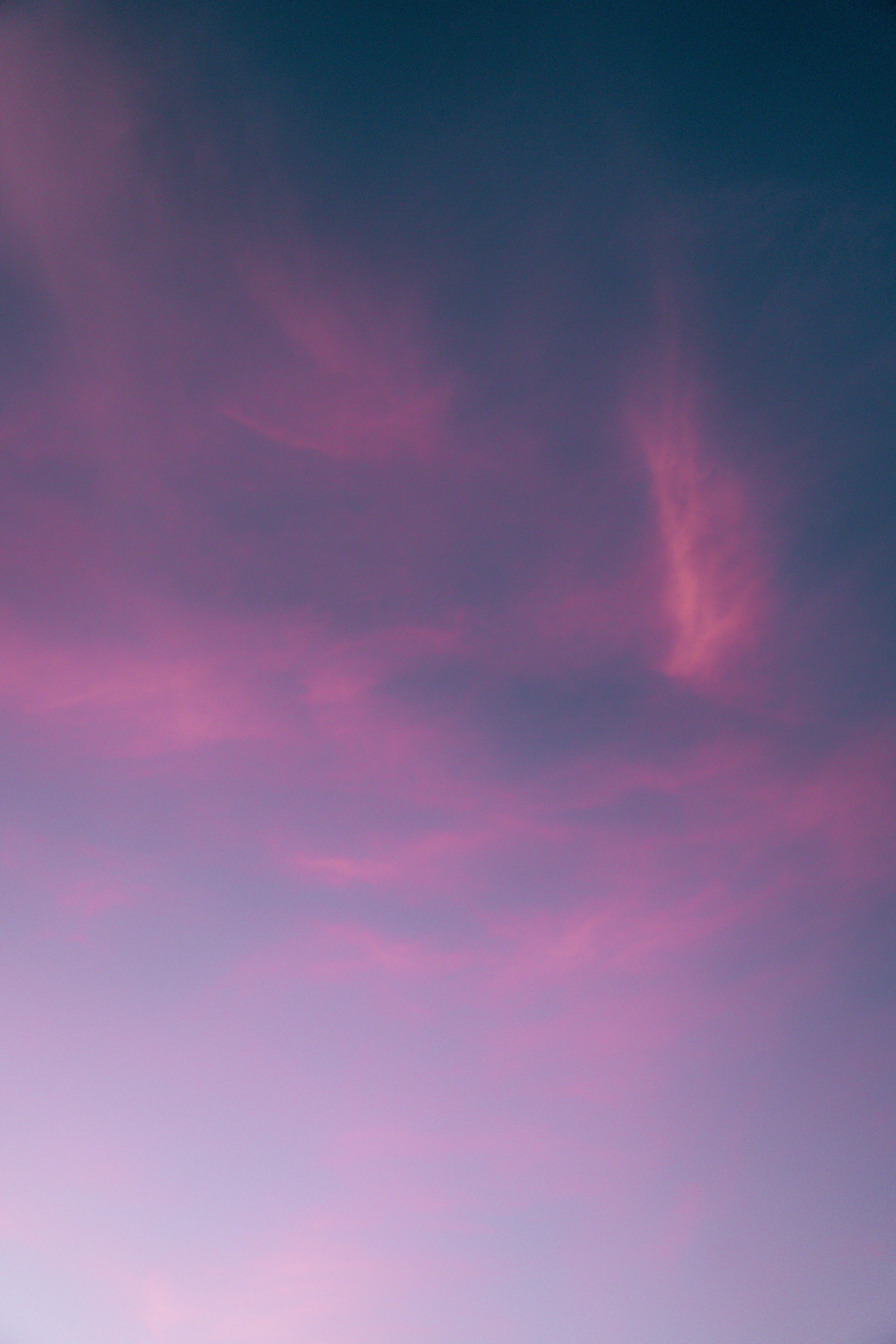 grátis Foto profissional grátis de ao ar livre, atmosfera, atraente Foto profissional