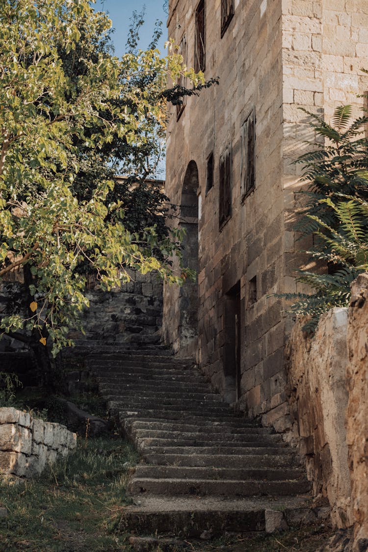 Stairs Near Building And Trees 