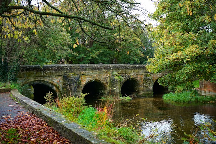 Salisbury Bridge Surrounded By Trees