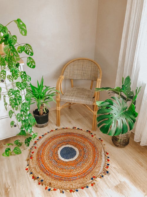 dekorasyon, dikey atış, ev bitkileri içeren Ücretsiz stok fotoğraf