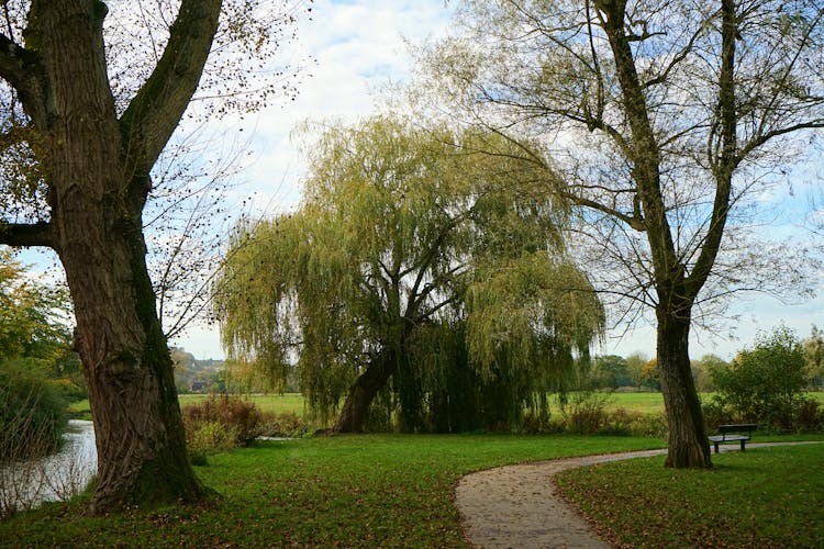 Salisbury