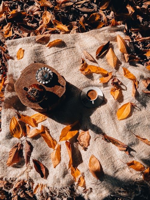 Cup of Coffee on Picnic Blanket Covered in Autumn Leaves