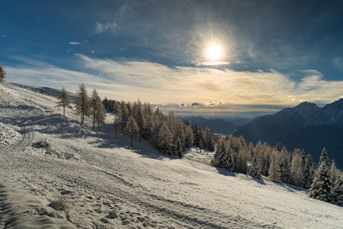 冬季, 地貌, 日出 的 免費圖庫相片