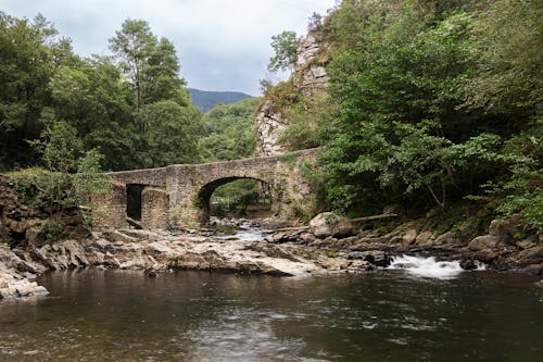 Kostenloses Stock Foto zu bäume, berge, brücke