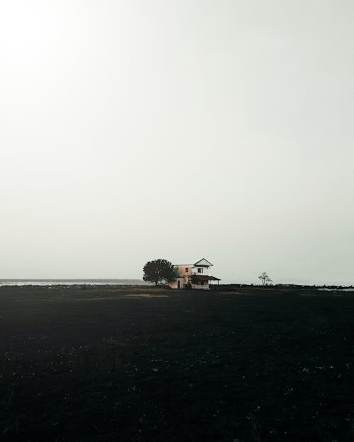 Foto profissional grátis de areia preta, árvore, casa