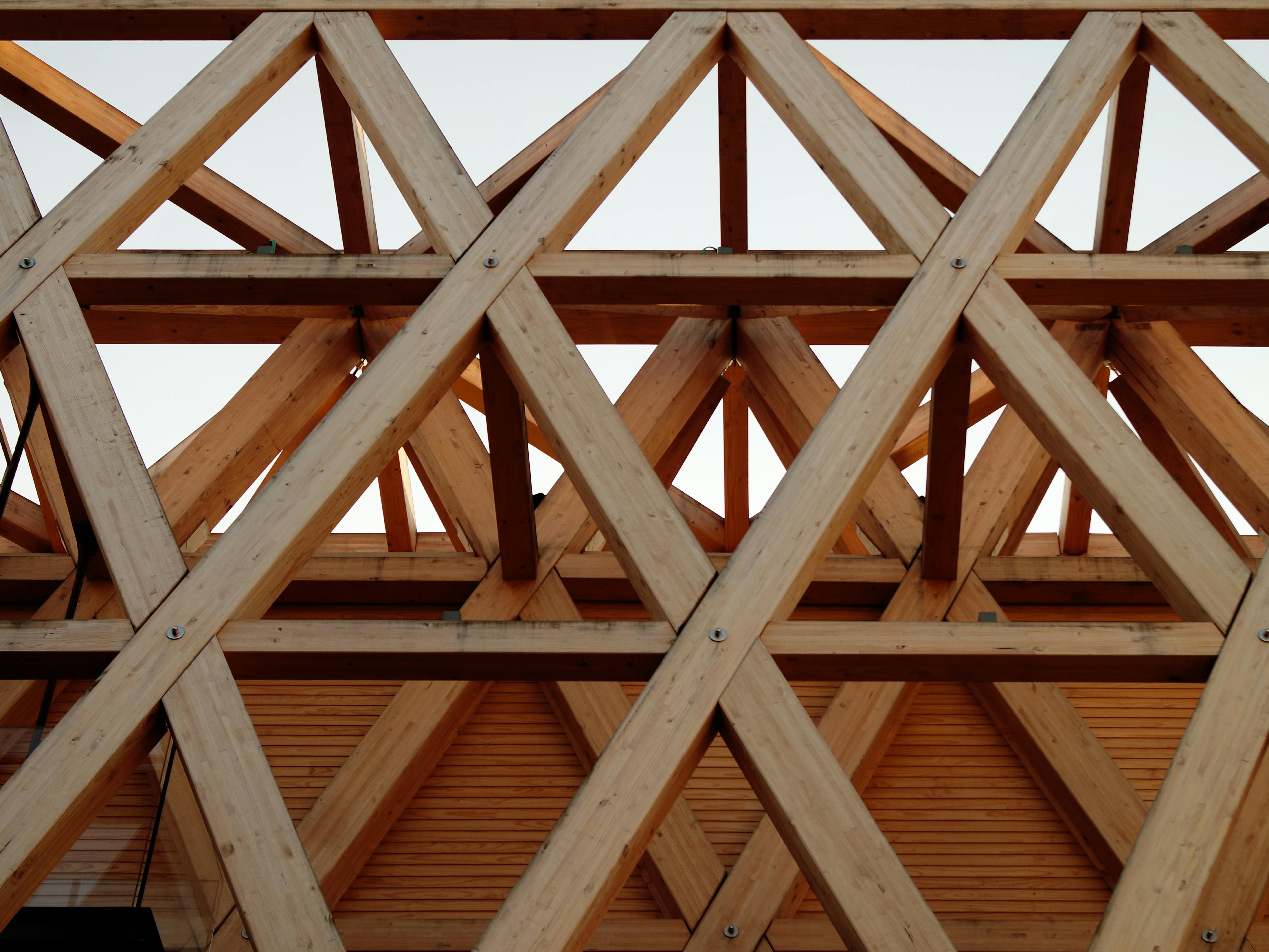 Photo by Sabrina  Martins