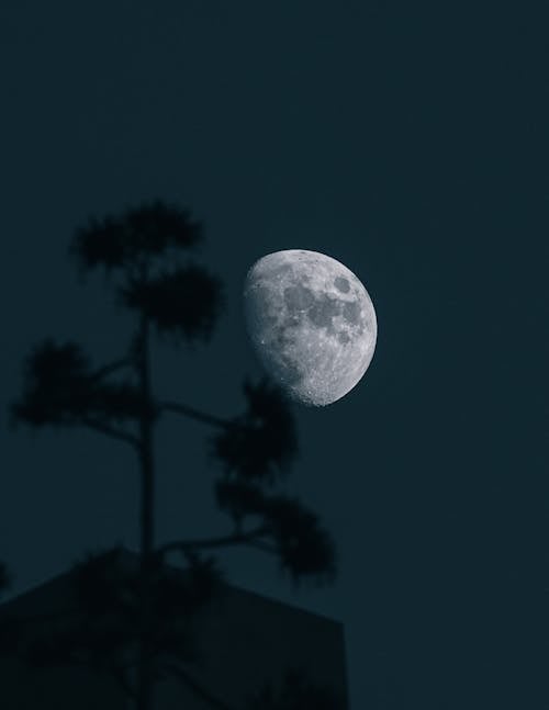 คลังภาพถ่ายฟรี ของ กลางคืน, จันทรา, ซิลูเอตต์