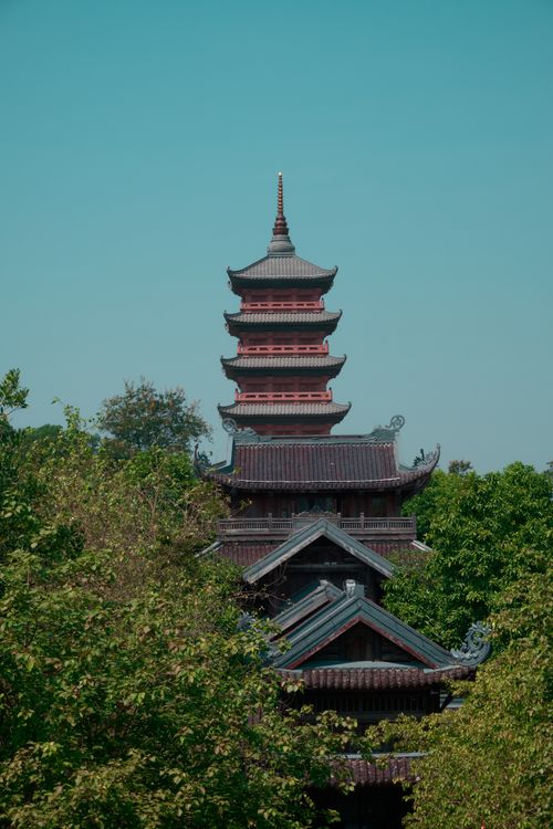 Free A stunning vertical shot of a traditional Chinese pagoda nestled within vibrant green trees against a clear blue sky. Stock Photo