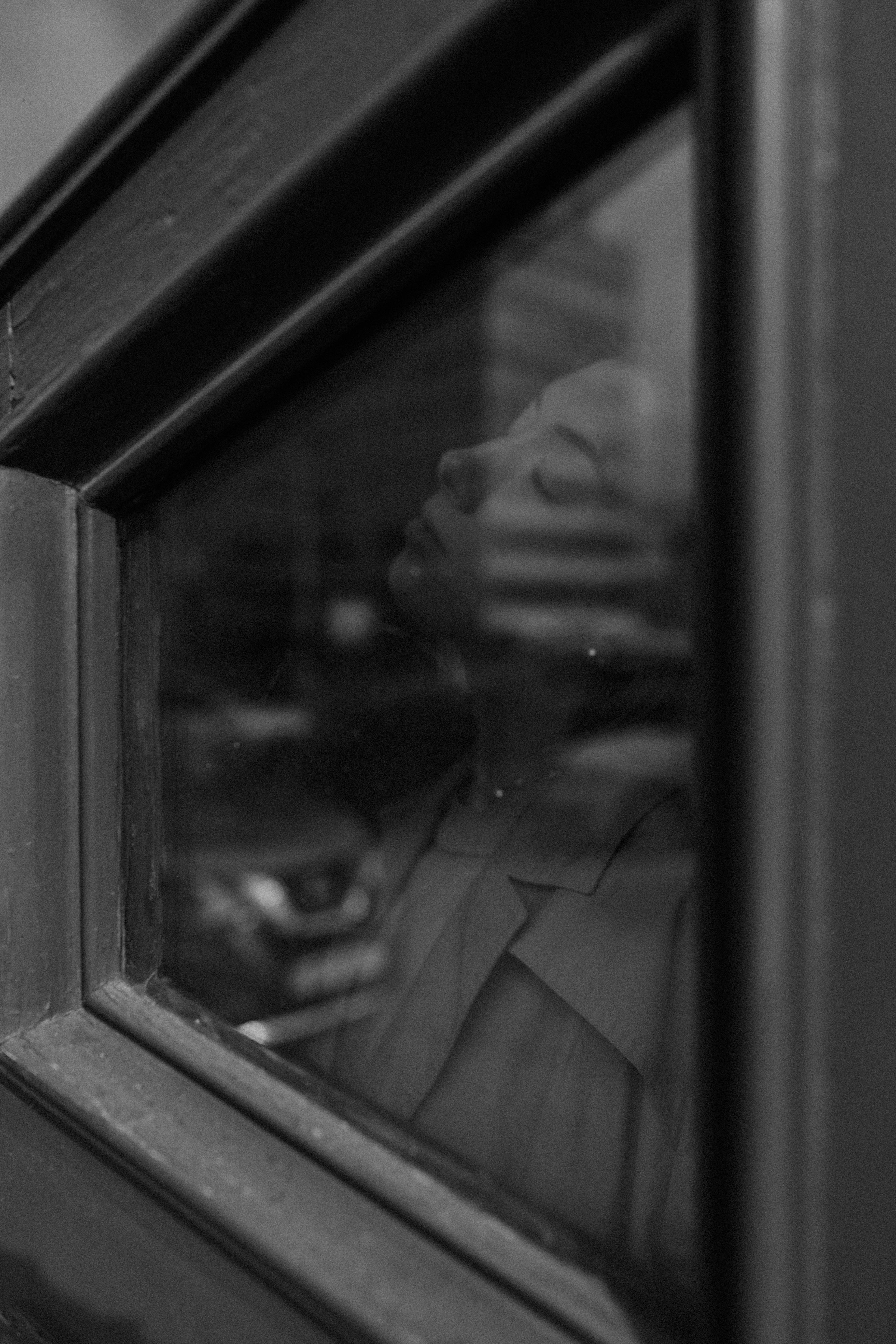 A Tree In A Forest A Collection Of Ajahn Chah S Similes